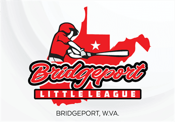 Bridgeport Little League hero