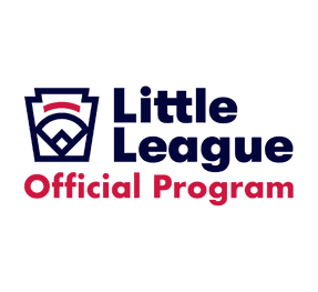 Countryside Little League hero