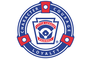 Dalton Hinsdale Little League hero