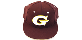 Golden Little League hero