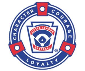 Redmond Little League hero